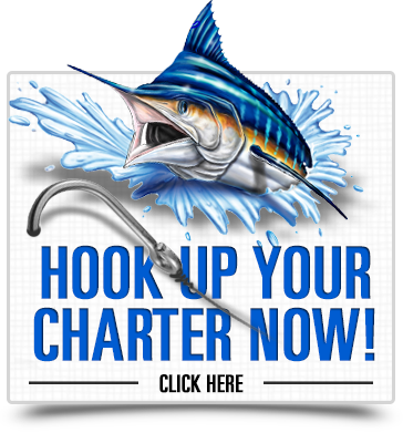 Book a Jupiter Inlet Sportfishing Charter with Reel Candy