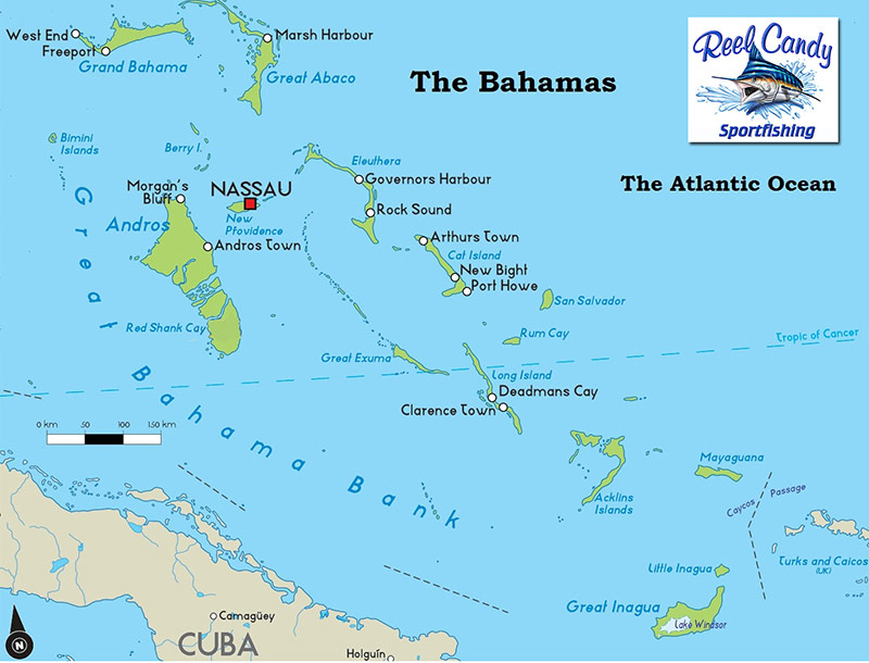 will charter florida and various parts of the bahamas florida ...